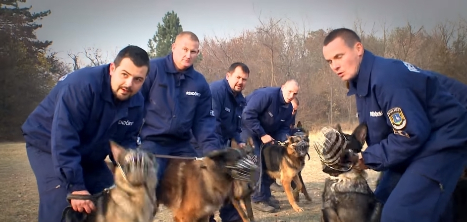 Rendőr Kutya Dog Police 2