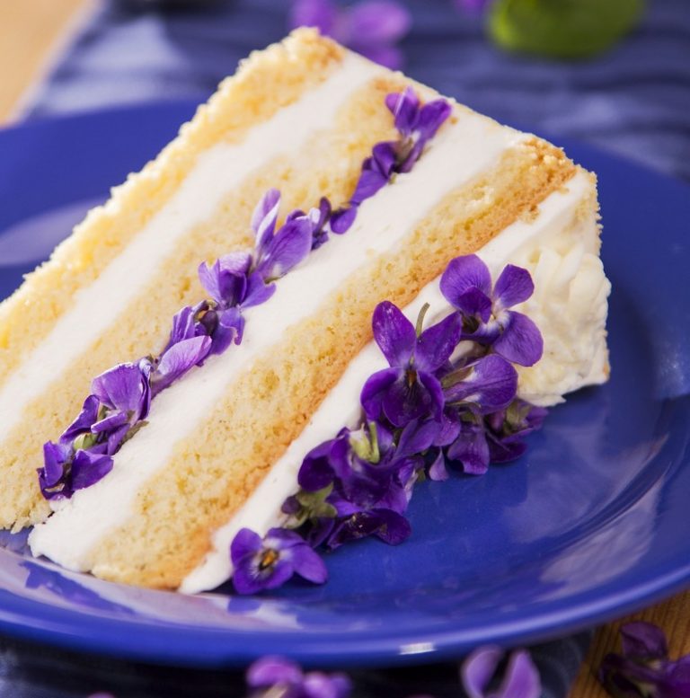 Torta au gâteau à l'alto Ibolya