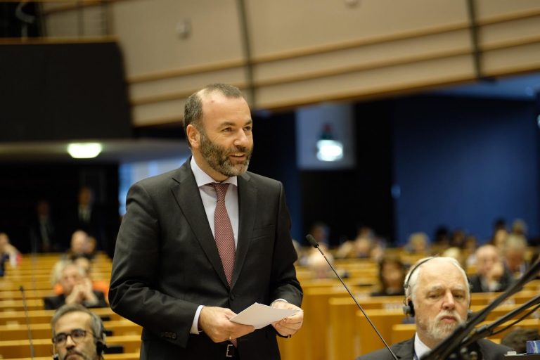 manfred weber