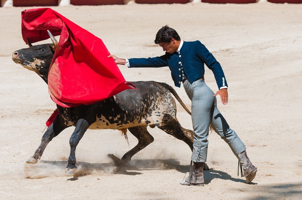 Bullfight Spain Spanyolország Bikaviadal