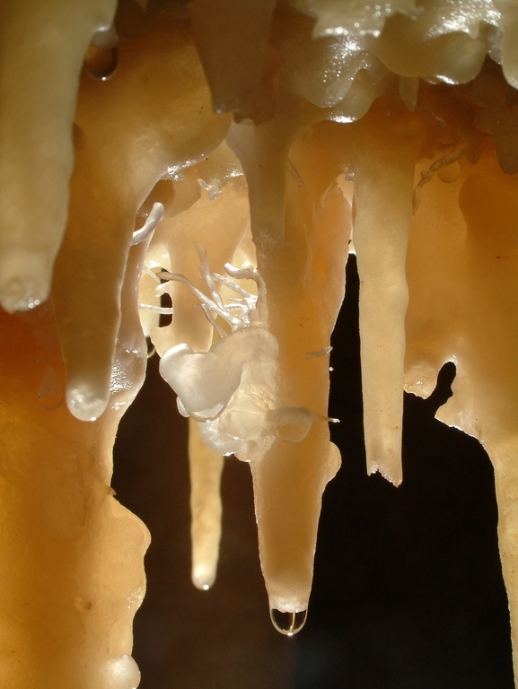 पाल-वोल्गी गुफा ड्रिपस्टोन 3