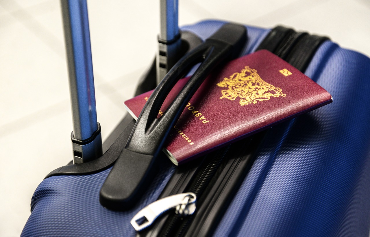 Forza lavoro ungherese: bagaglio da viaggio con passaporto