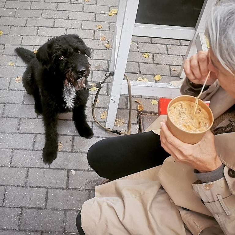 Budapest dog restaurant