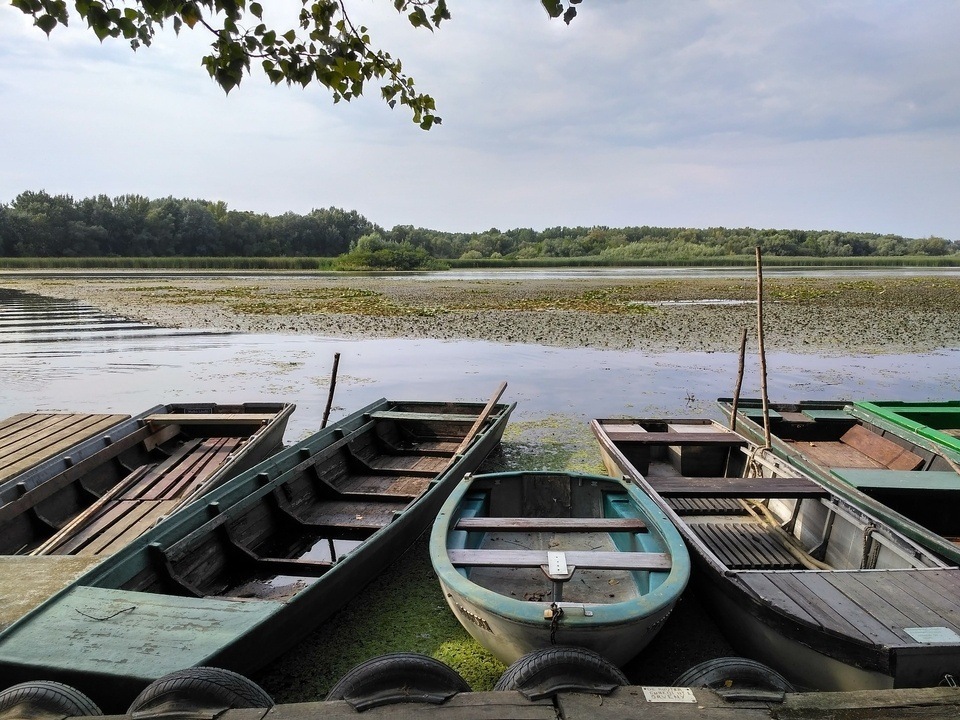 Lake Tisza