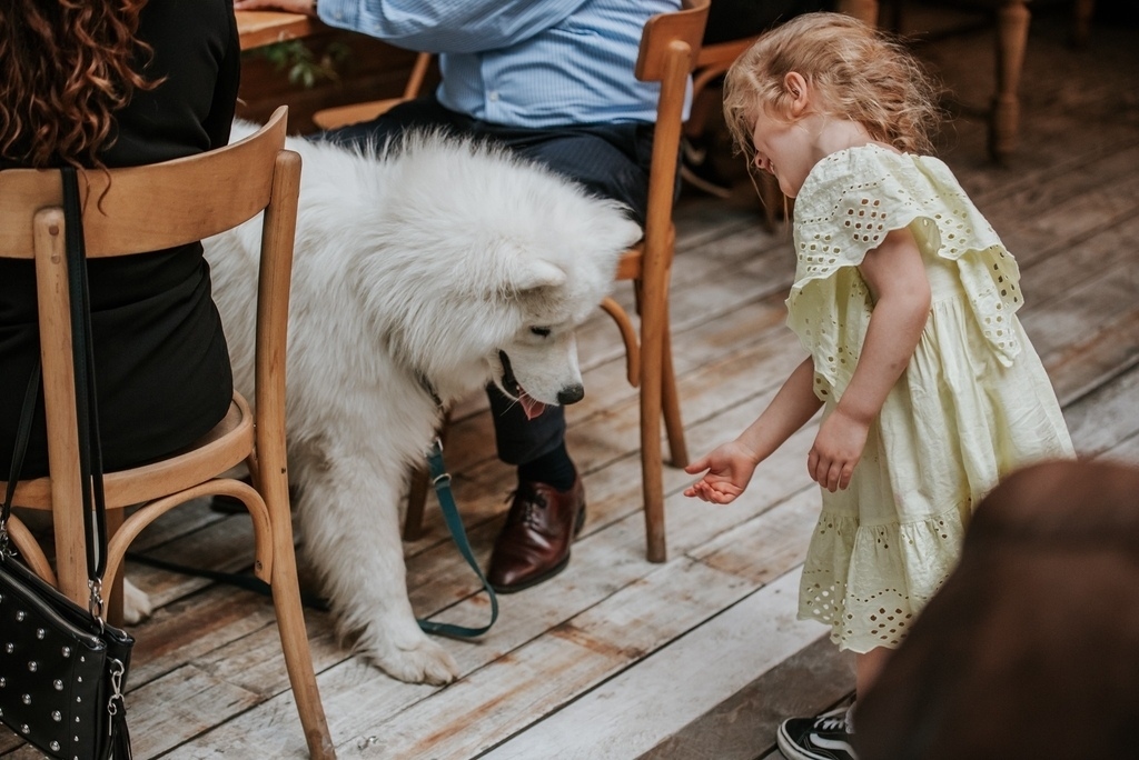 Budapest dog restaurant