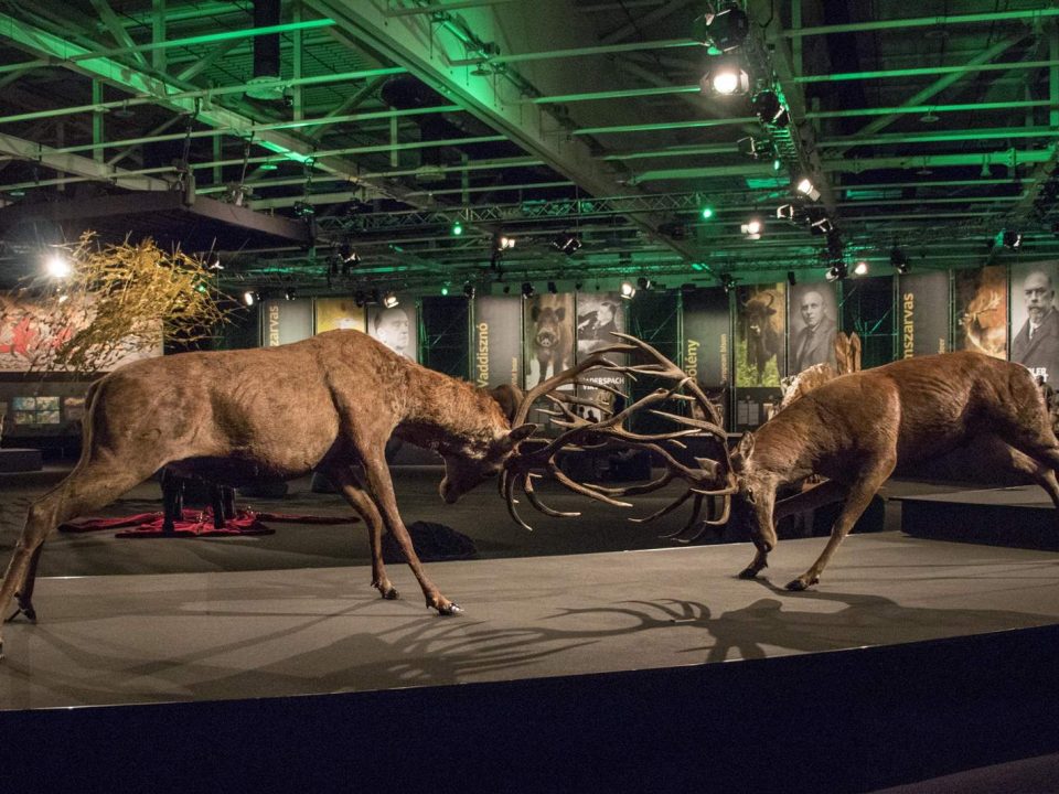 Exposición sobre el mundo de la caza y la naturaleza One With Nature en Hungría