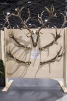 One With Nature World of Hunting and Nature Exhibition in Hungary 2021 (33)