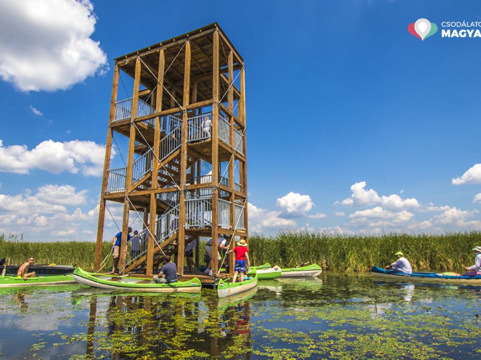 Bölömbika Lookout Tower-蒂薩湖-匈牙利