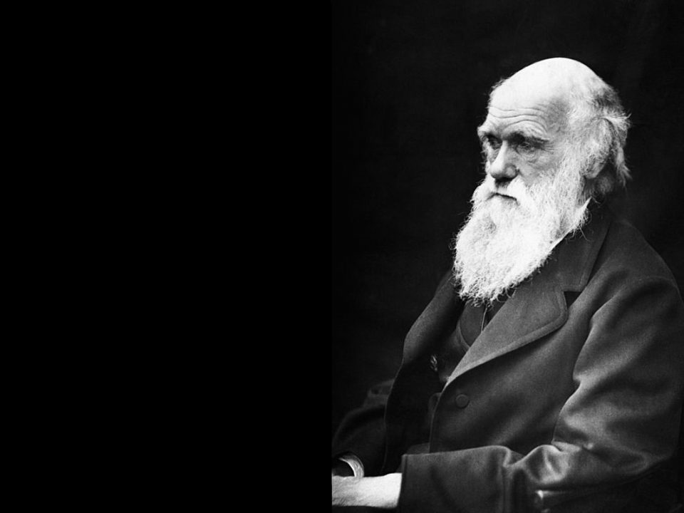 Charles Darwin-biology-science