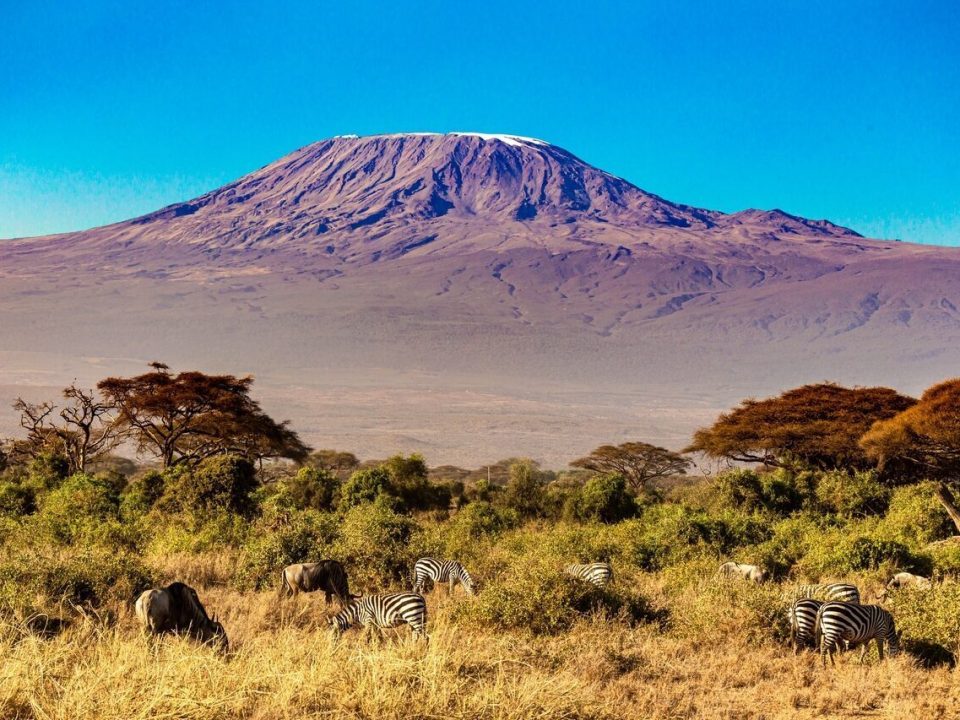 Caminata por la montaña Kilimanjaro