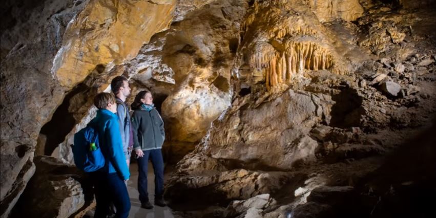 Pálvölgyi Cave