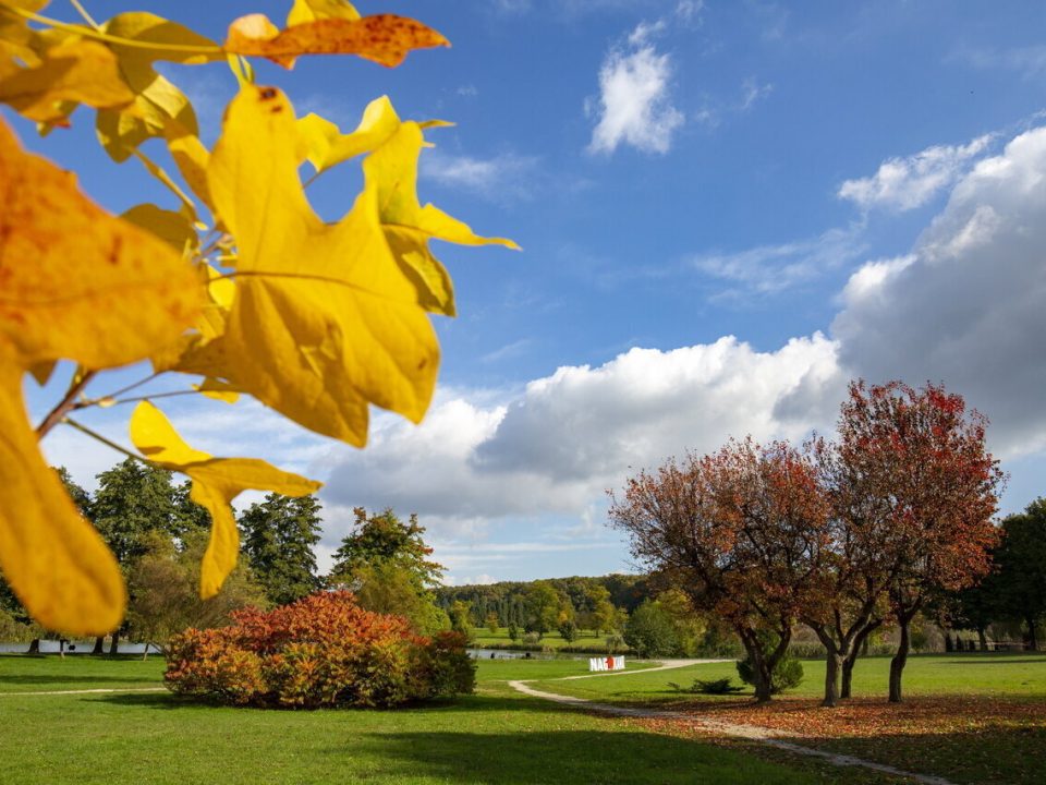 autumn hungary