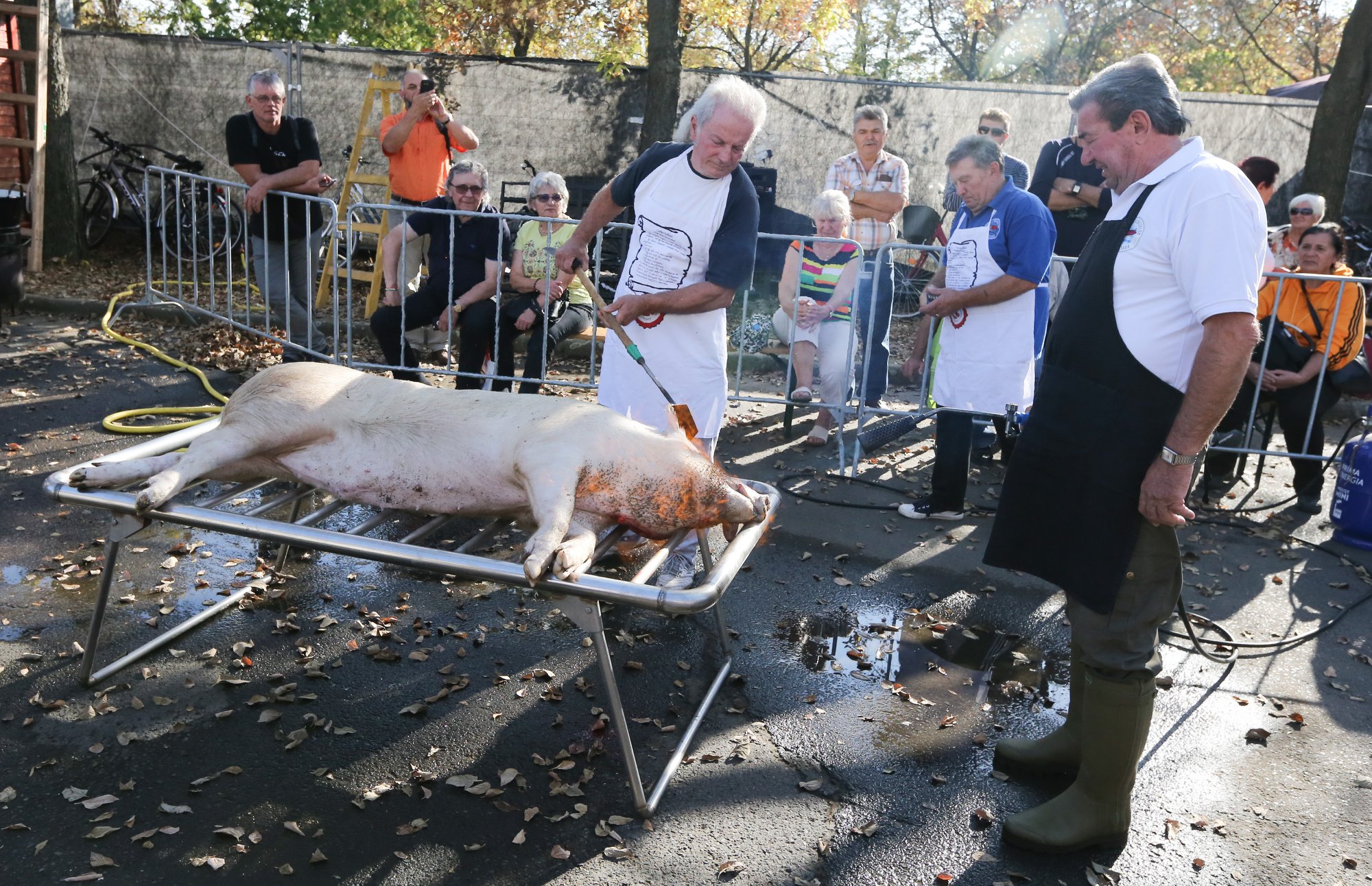 sausage festival Békéscsaba