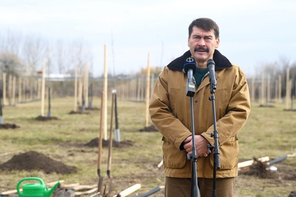 Hungarian President János Áder planting trees