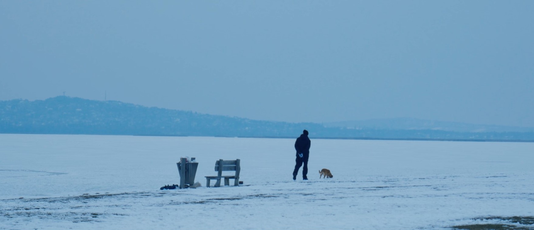 Lake Velence-winter