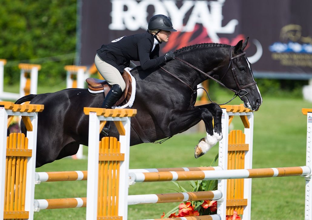 Öttusa Pentathlon Show Jumping Horse Riding