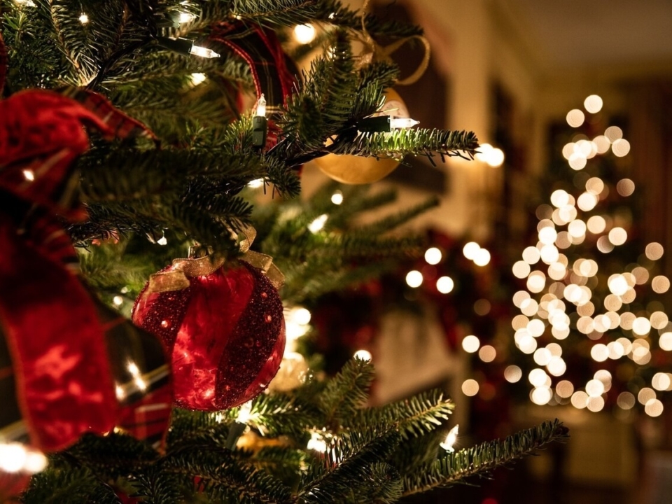 Рождественская елка Карачонифа