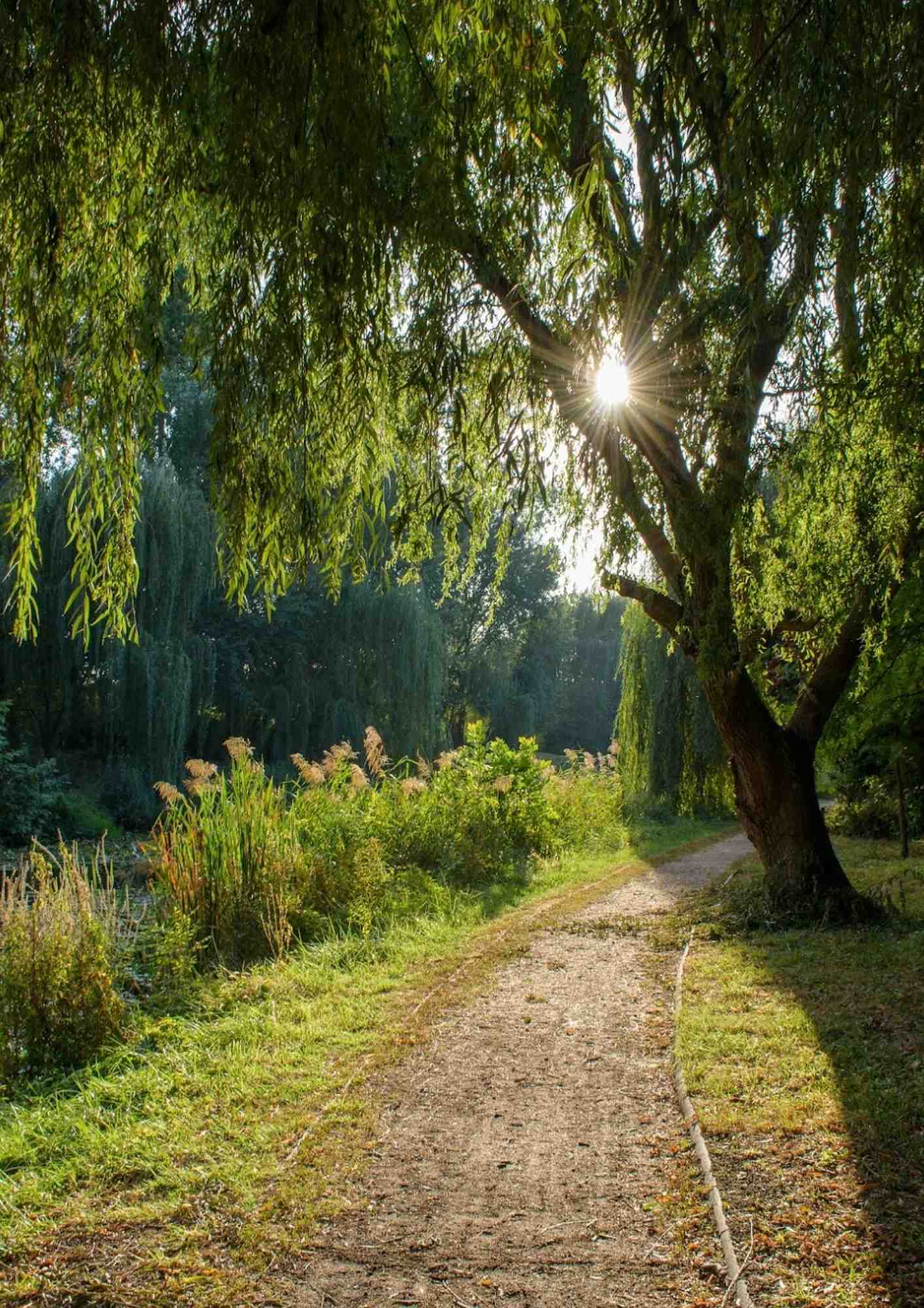 Romantic one-day trip in Hungary Szeged