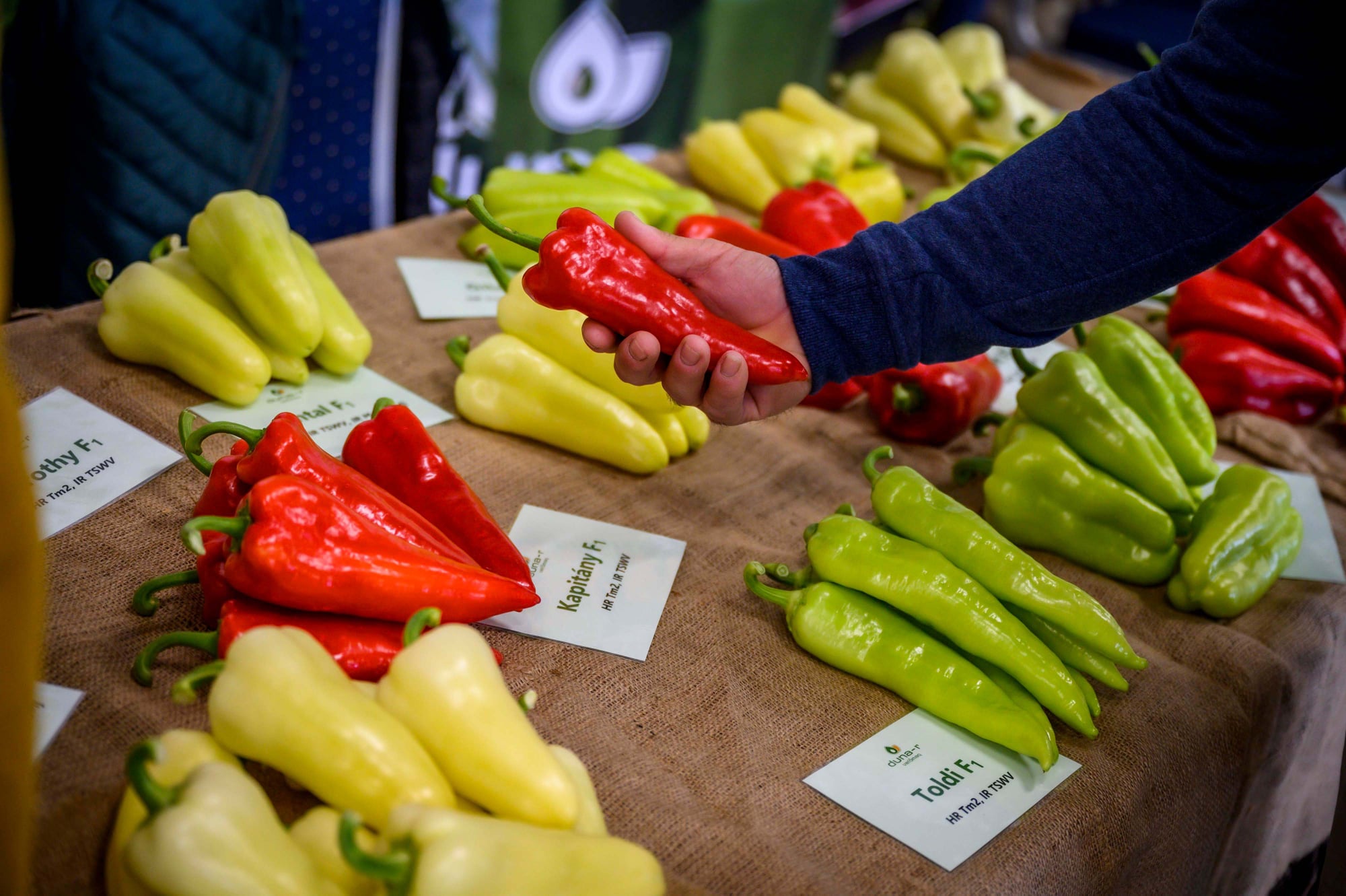 szentesi paprika