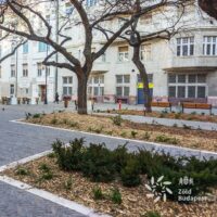 Bakáts square Budapest