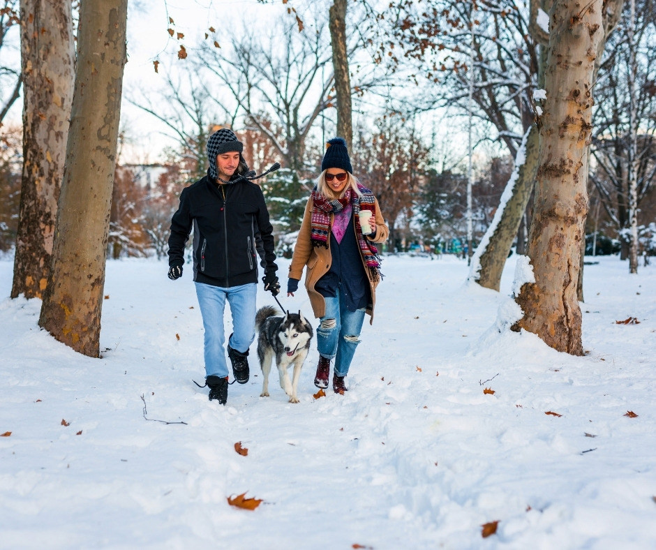 How to lose Christmas weight Hungarian style - Hiking - Dog walking