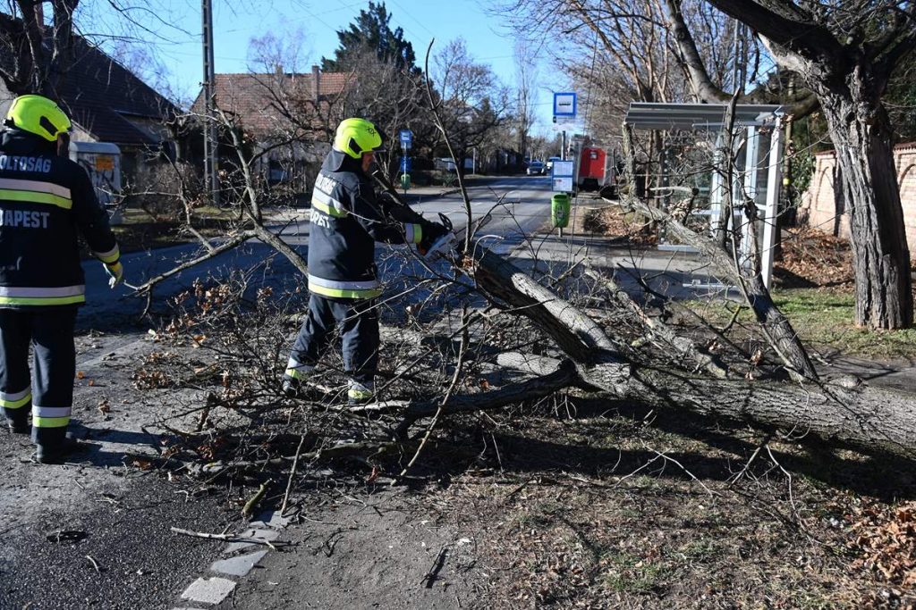 Wind storm Hungary