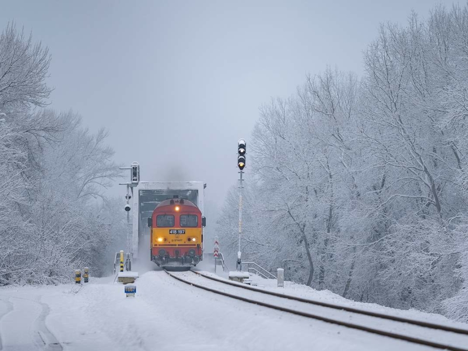 máv hungary railway transport cargo