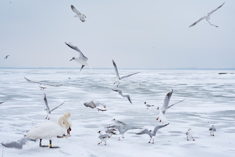 lake balaton winter