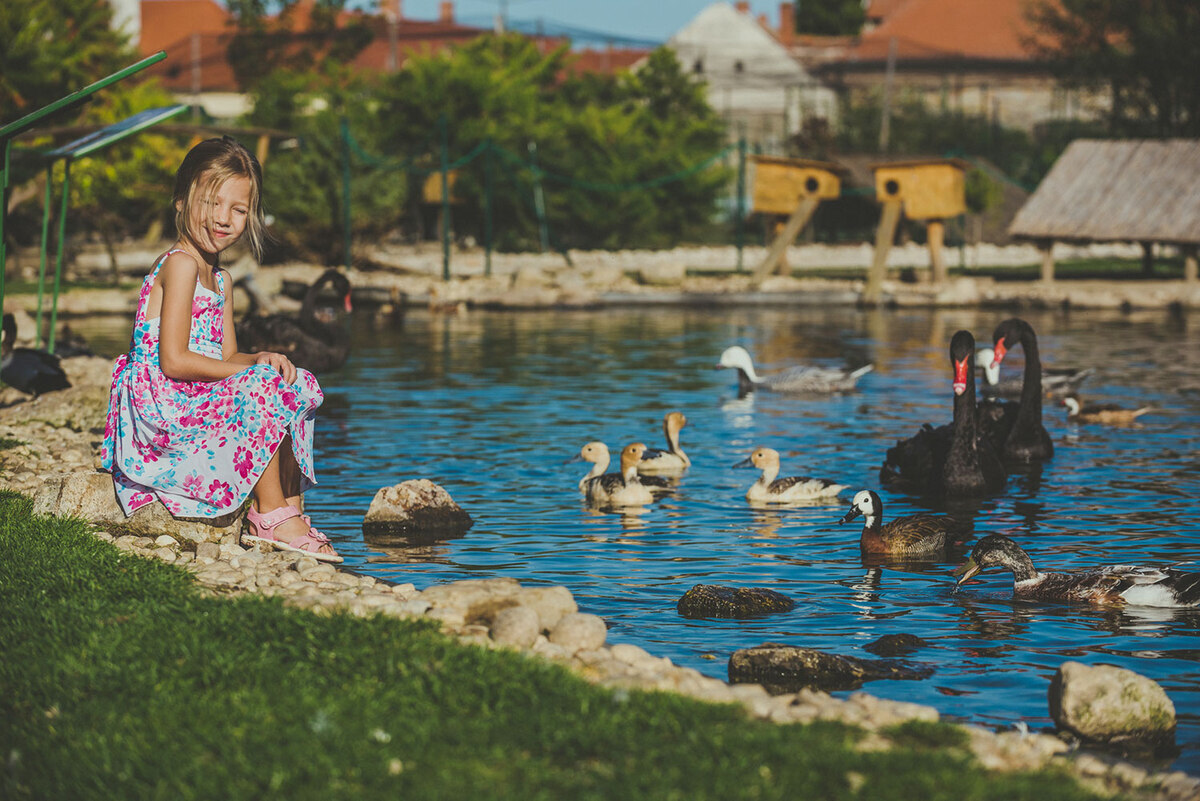 bird park keszthely