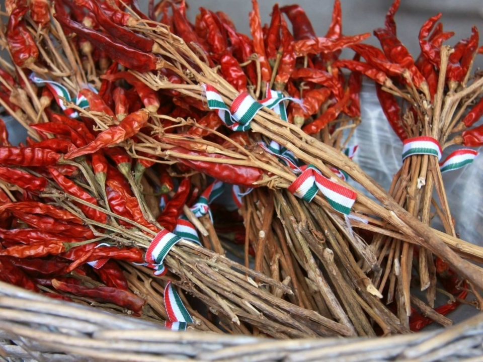 匈牙利美食中最受歡迎的香草和香料