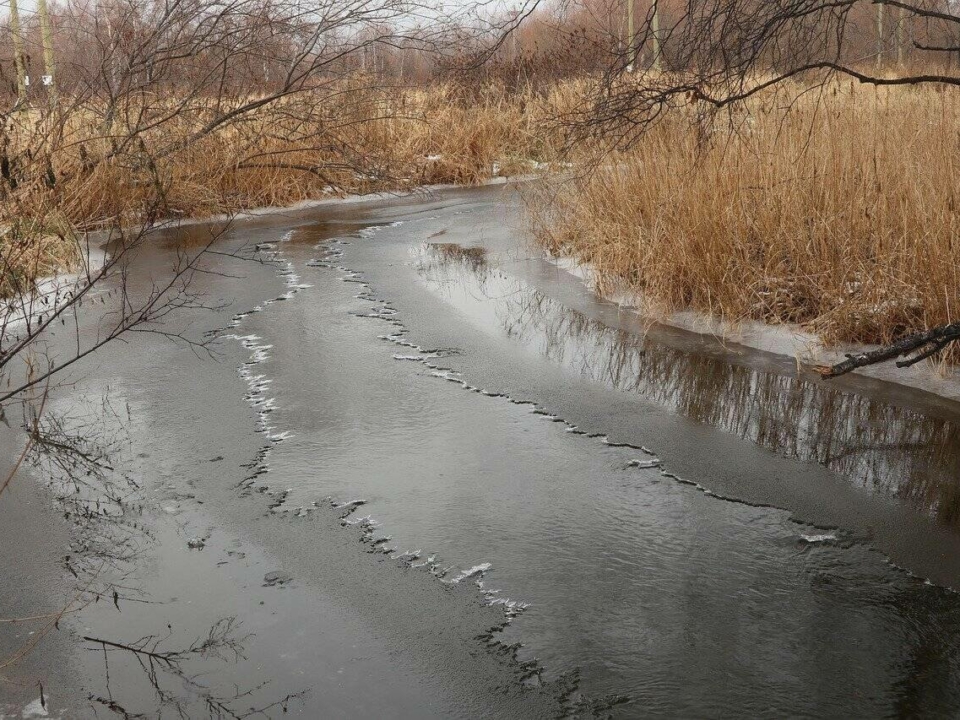 late winter frozen river trees