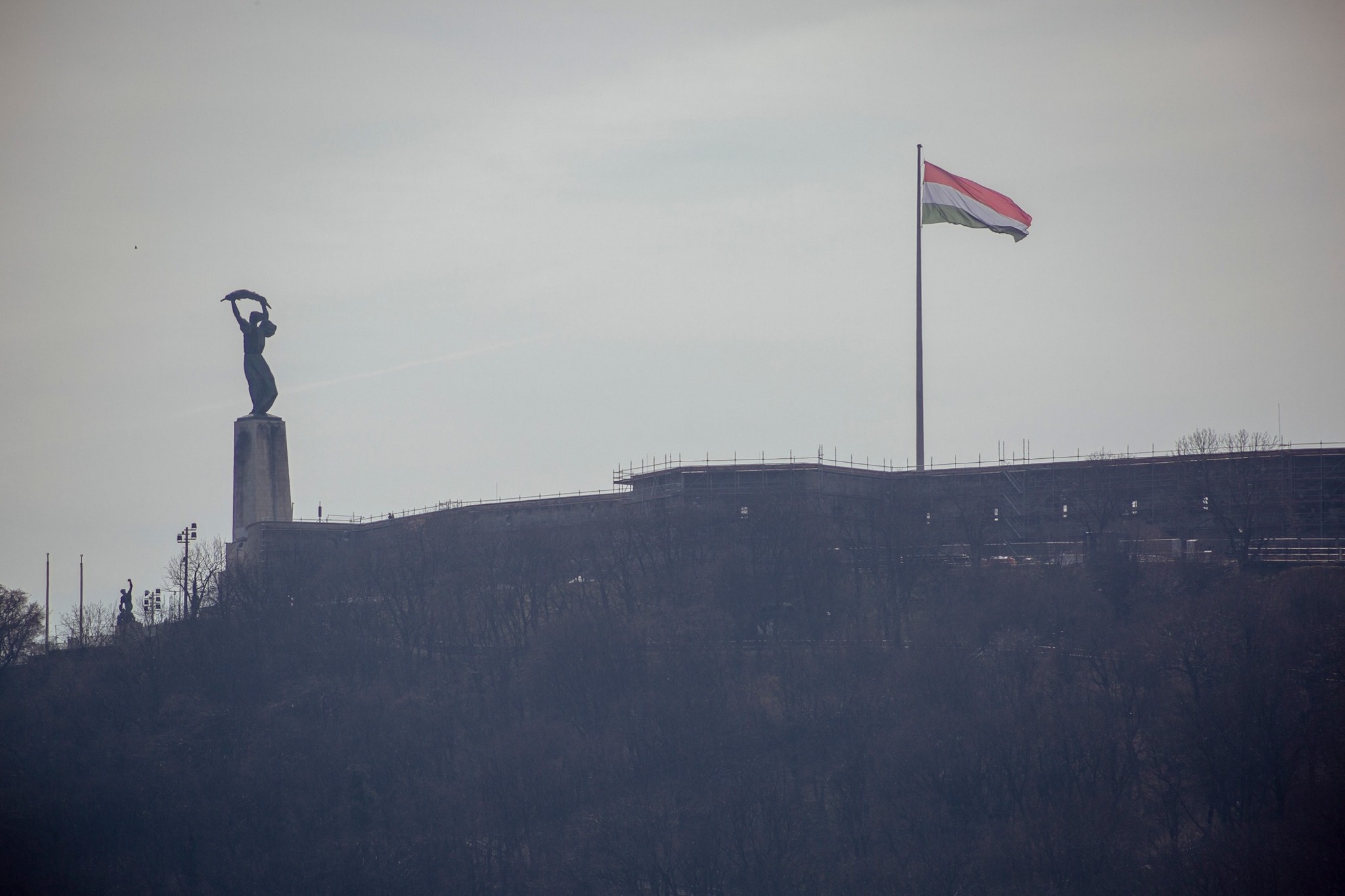 Biggest flag in the Citadel