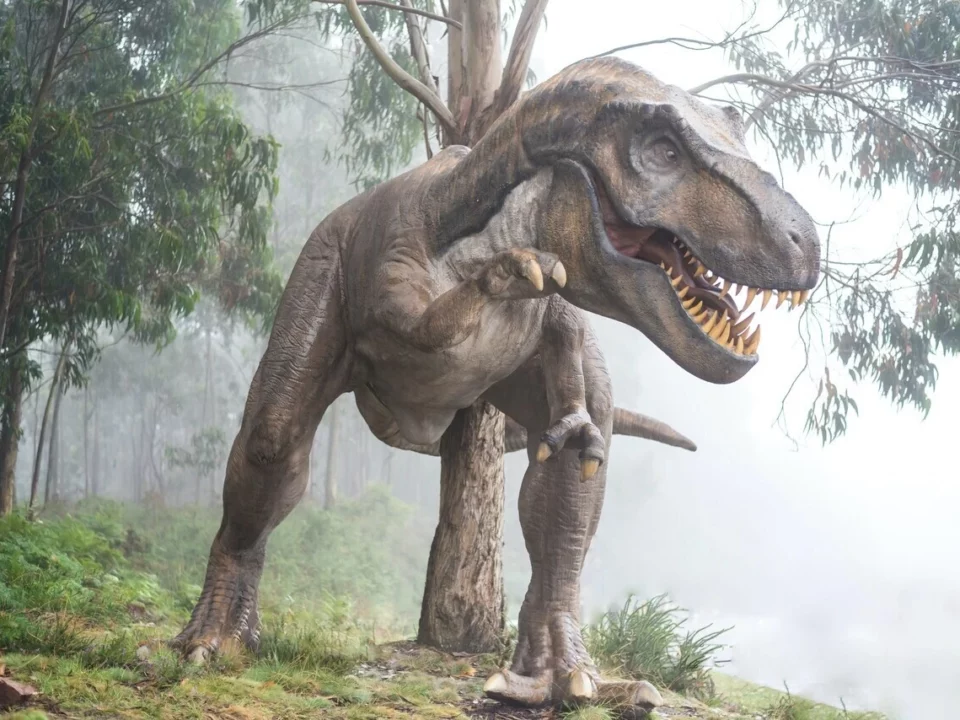 dinosaurio tiranosaurio rex
