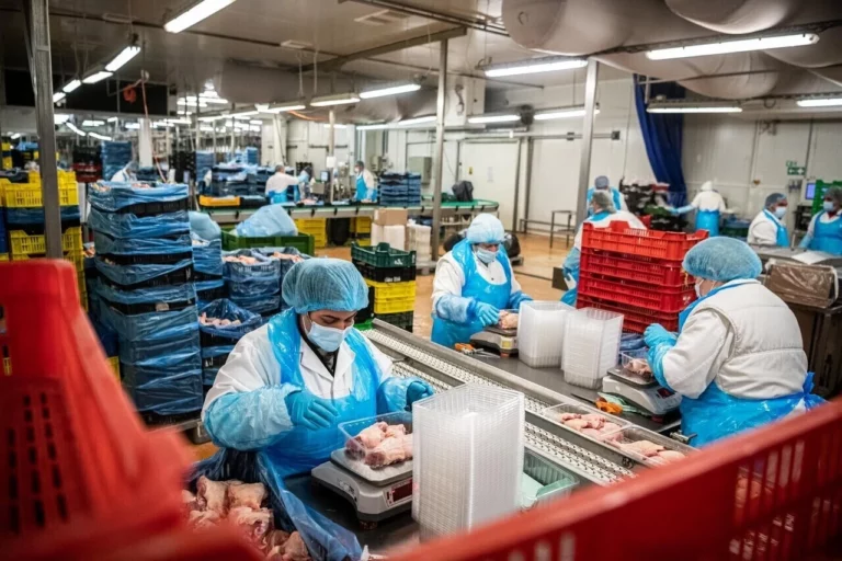 Développement des ouvriers d'usine