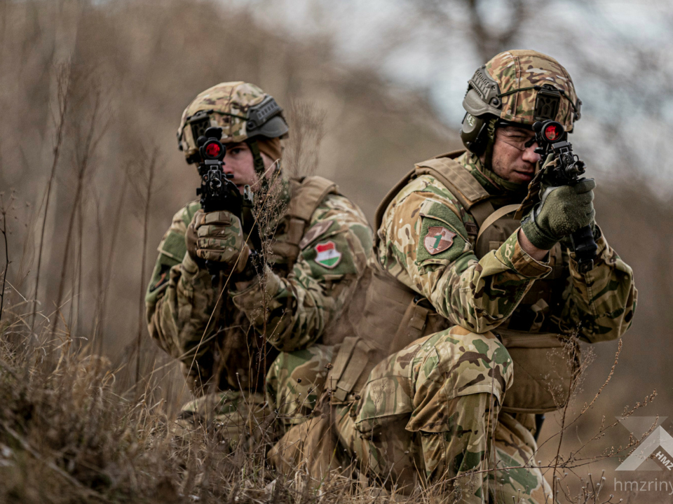 Hungarian Defence Forces