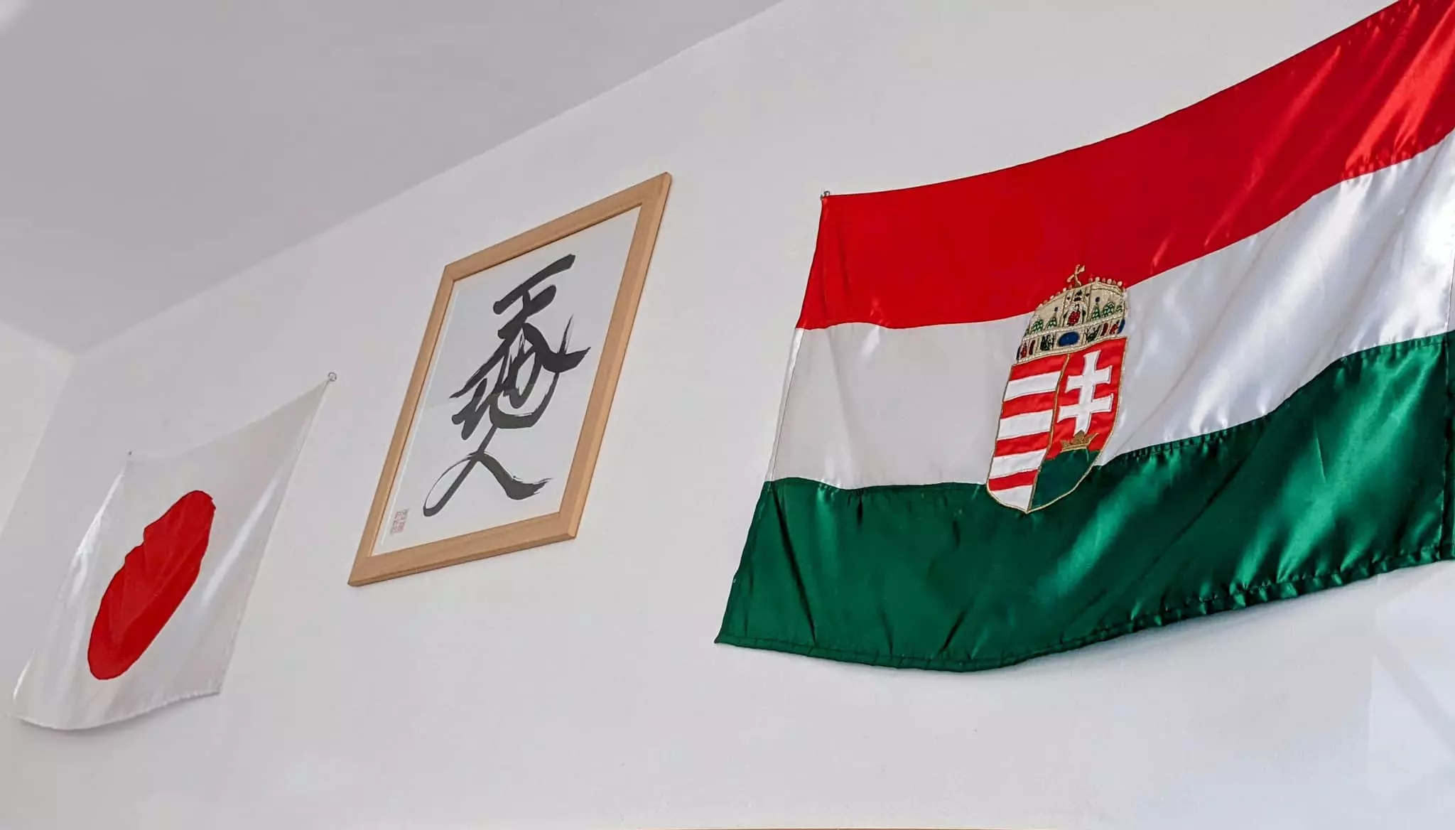 Japan Hungary