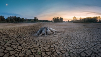 dryness drought