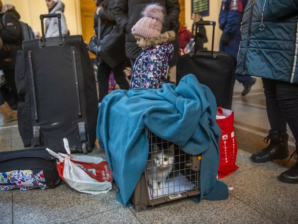 refugee hungary train station