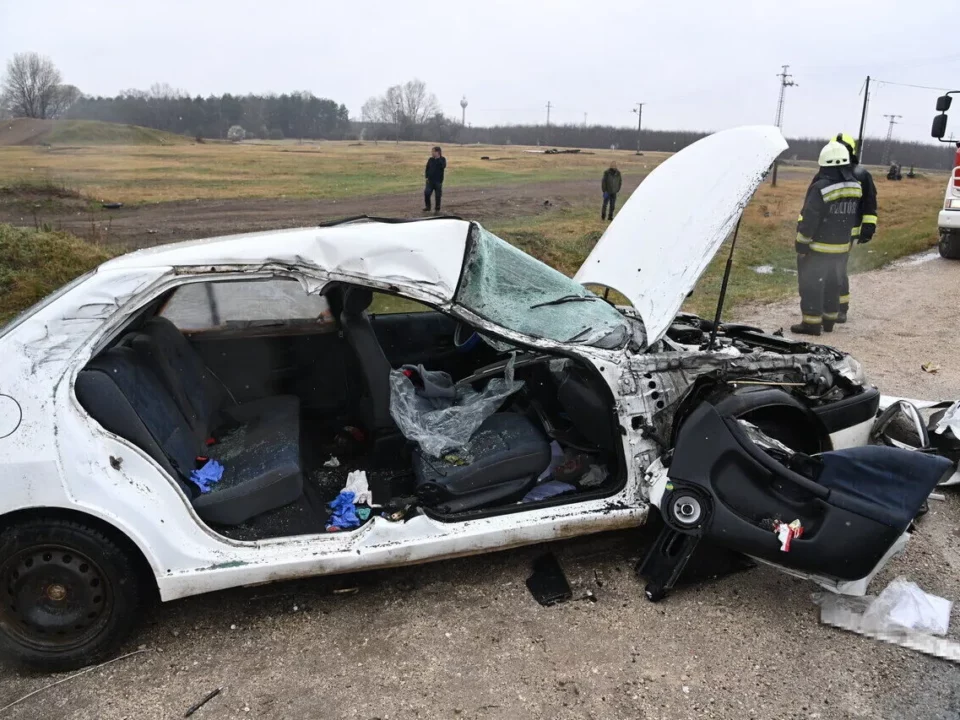Accidente de tráfico ganado autopista húngara
