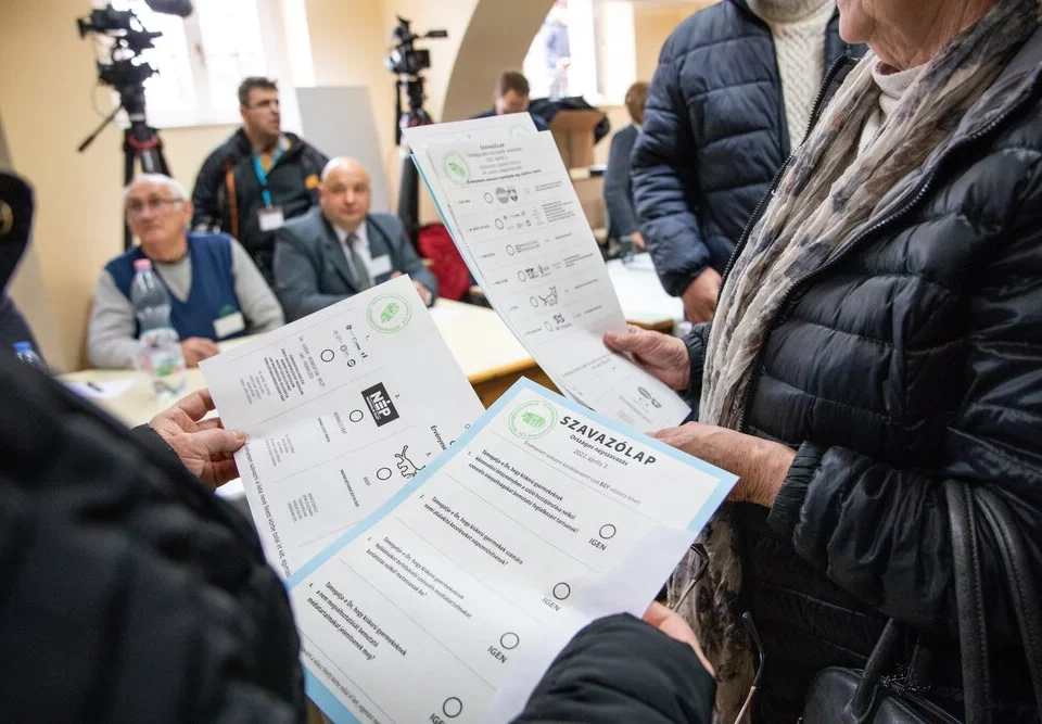 التصويت في المجر
