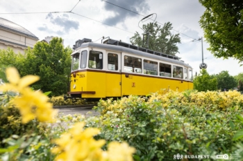 鲜花和电车布达佩斯