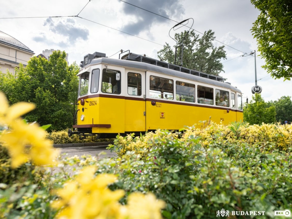 फूल और ट्राम बुडापेस्ट