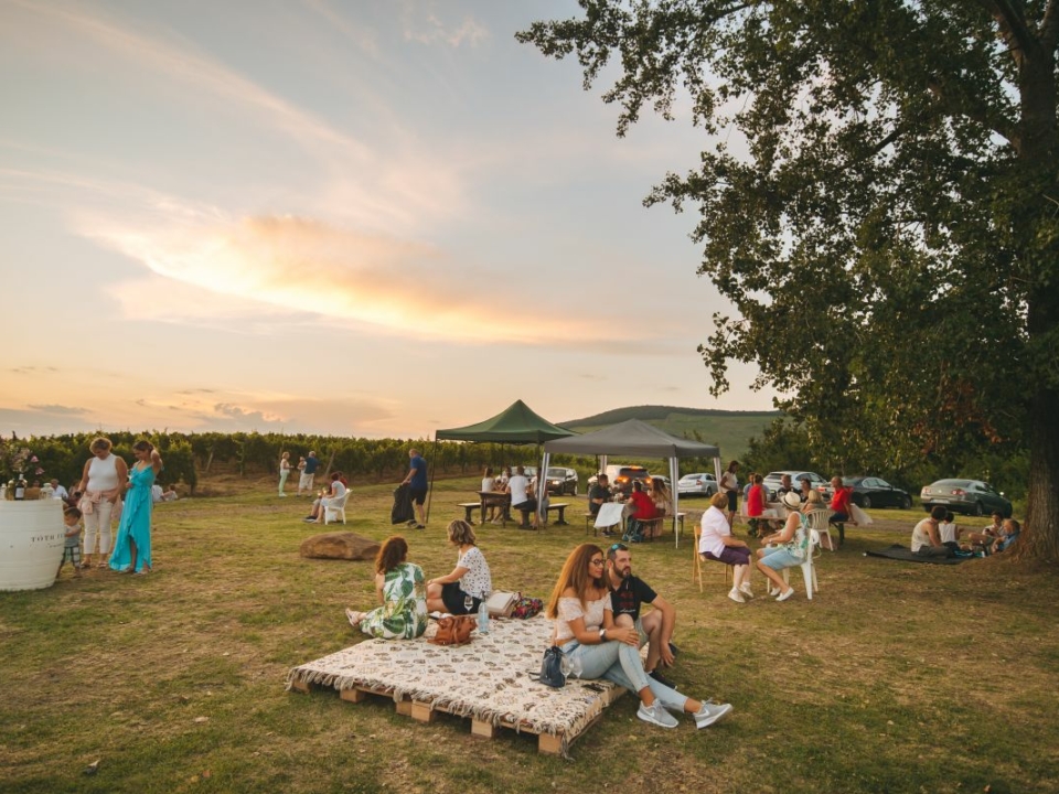 Eger summer wine Ferenc Tóth winery