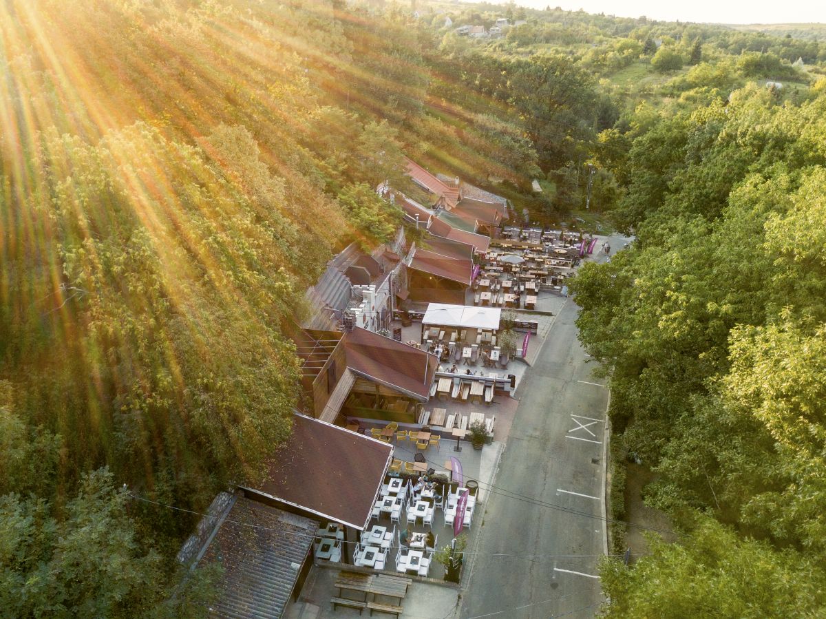 Szépasszony valley Eger wine