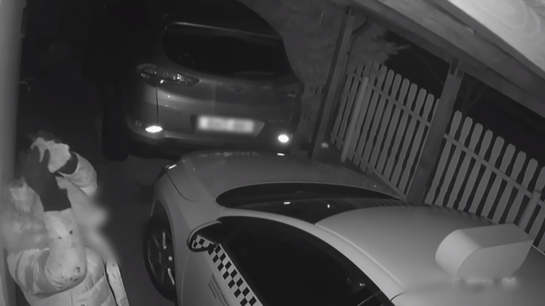 taxi hungary crime