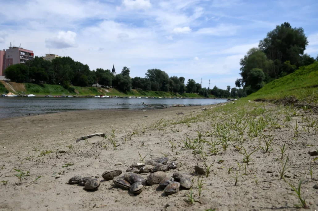 Drought in Hungary