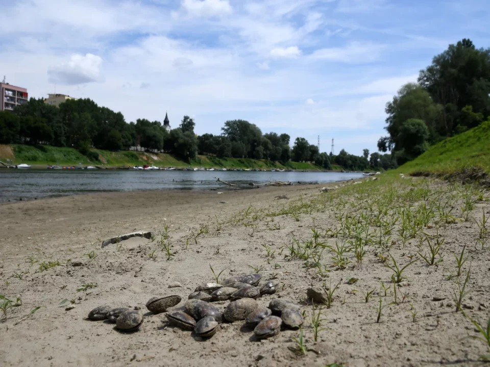 Drought in Hungary