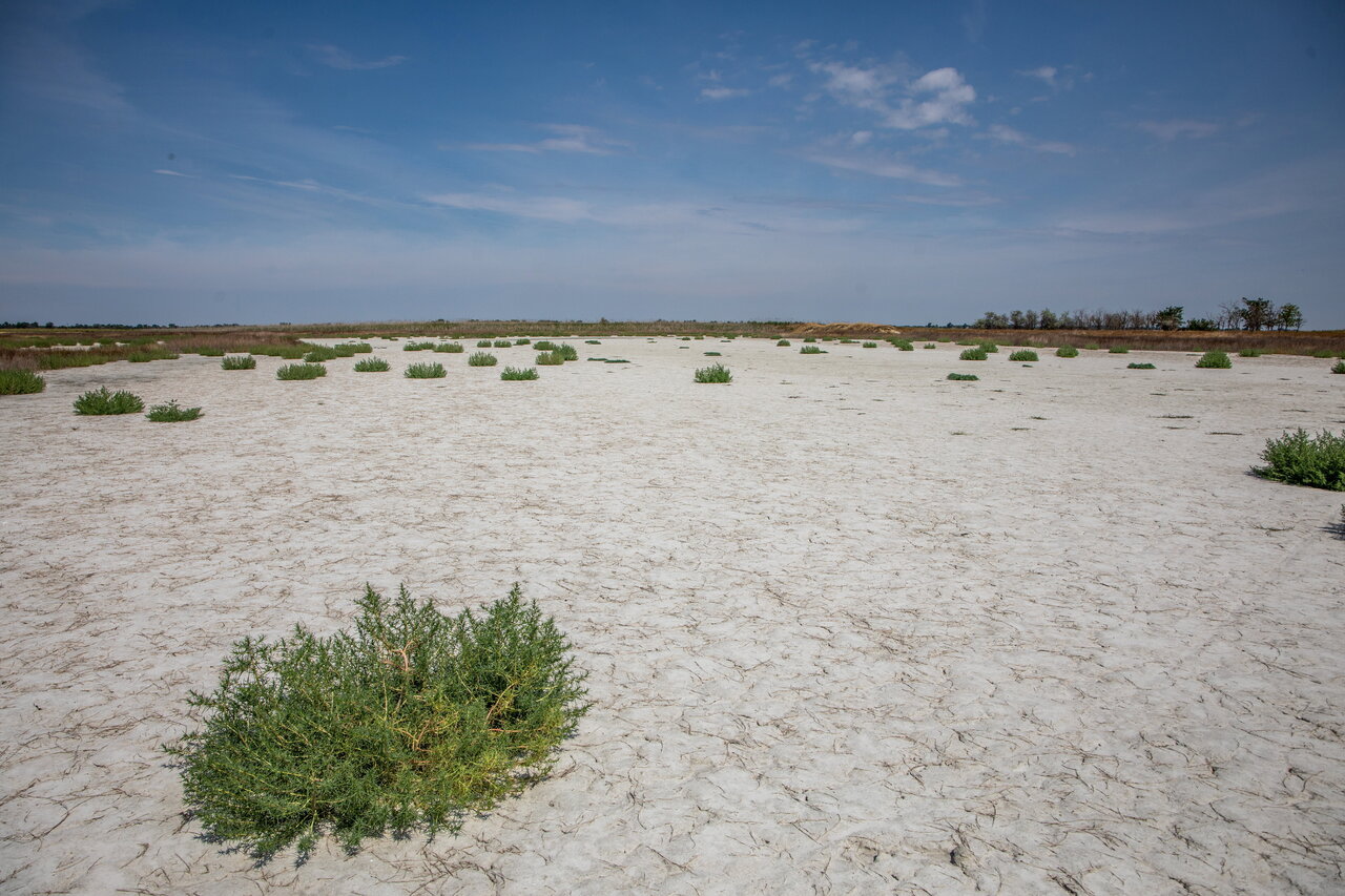 Drought in Hungary.