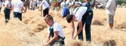 ハンガリー - 農業 - 農民 - 干ばつ