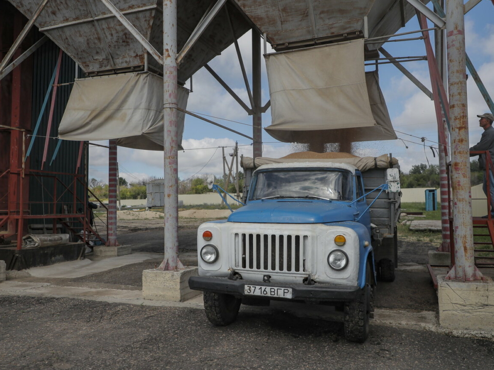 Hungary Ukraine grain food trade